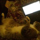 ���� ����, �����, 60 ��� - ��������� 23 ������� 2012 � ������ ��������)�