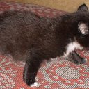 ���� ���������, ������ ��������, 46 ��� - ��������� 28 ������ 2009 � ������ ���� ��������: ������ � �����