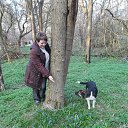 �� �������� �� �������������! 17.03.2013�. �� ������� ���� ����������