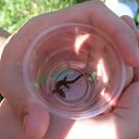 ���� �������, �������, 38 ��� - ��������� 18 ������ 2009 � ������ ����