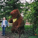 ���� W942, ������ - ��������� 3 ������� 2013