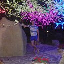  , --, 40  -  23  2013    