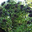  , - -  9  2010      ( )