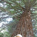   (), , 39  -  28  2010    2010