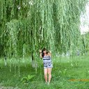 ���� �����, �����������, 44 ���� - ��������� 24 ���� 2012 � ������ ���� ����������