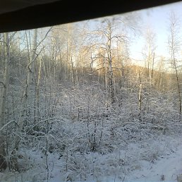 ���� ����, ����, 53 ���� - ��������� 18 ���� 2013