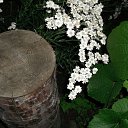 ...���� � ����... �� ������� ���� ����������