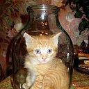 ���� ������, ������������, 51 ��� - ��������� 7 �������� 2012 � ������ ���������� ������