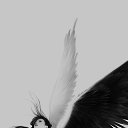  Fallen Angel, , 42  -  18  2013