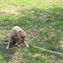 ���� ������, ��������������, 49 ��� - ��������� 20 ����� 2011 � ������ ���� ��������