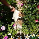 ��� ����� �� ������� �������