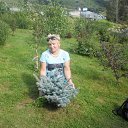 ���� �������, ���������, 59 ��� - ��������� 31 ���� 2011 � ������ ���� ����������