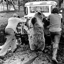 ���� ��������, ������ - ��������� 19 ��� 2013 � ������ ������ ��������