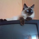 ���� ����, �������� - ��������� 22 �������� 2012 � ������ ����� �������)))�