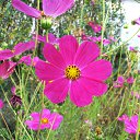  , --, 75  -  18  2012   