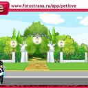  ,  -  15  2011   PetLove