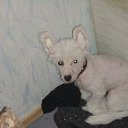 ���� ������-������� ��� ���� �����, ��������, 85 ��� - ��������� 14 ������ 2010 � ������ ������ �������