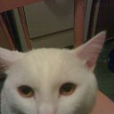 ���� Wer, ������, 57 ��� - ��������� 5 ����� 2010 � ������ �������-������