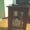 ���� �����, ������������, 38 ��� - ��������� 4 ������� 2012 � ������ ���� ��������