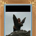 ���� �����, ������, 48 ��� - ��������� 1 ���� 2013 � ������ ���� ����������