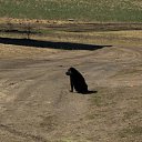 ���� Arunas, ������, 58 ��� - ��������� 4 ������� 2012 � ������ ���� ����������