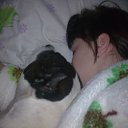 ���� ��������, �����������, 39 ��� - ��������� 30 ������� 2009 � ������ ���� ����������