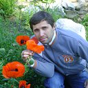  , , 51  -  1  2011    ...