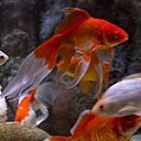 ���� ����, ����, 53 ���� - ��������� 30 ����� 2013 � ������ ���� ����������