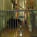 ���� ����, �����-���������, 34 ���� - ��������� 27 ���� 2011 � ������ ��������