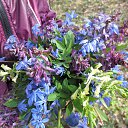 ���� �����, ��������� - ��������� 6 ������ 2013 � ������ ���� ����������