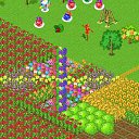 ���� ����, ��������, 24 ���� - ��������� 27 ������ 2011 � ������ ������� �������