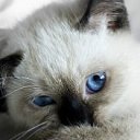 ���� �����, ������ - ��������� 26 ������ 2012 � ������ �����������