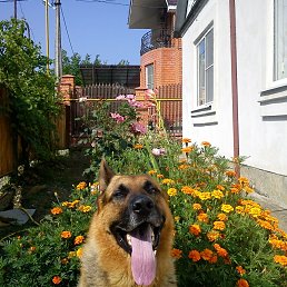 ���� ���������, ���������, 51 ��� - ��������� 25 ������� 2012