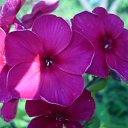  , -, 40  -  16  2011     