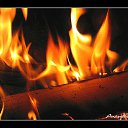 ���� �����, ����, 28 ��� - ��������� 25 ������� 2010 � ������ �������� ��������