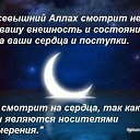 ���� ����, ������, 55 ��� - ��������� 25 ���� 2012 � ������ ���� ����������