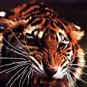  , --, 47  -  19  2013    