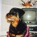 ���� �����, ������, 58 ��� - ��������� 24 ���� 2009 � ������ �����