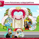  , , 36  -  8  2010   PetLove