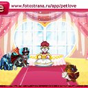     , -, 40  -  7  2010   PetLove