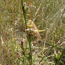 ���� �����, ������, 57 ��� - ��������� 11 ������ 2012 � ������ ������� ����