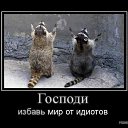 ���� ���������, ������������, 43 ���� - ��������� 3 ������� 2012