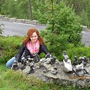 ���� ������, �����������, 53 ���� - ��������� 8 ������ 2013 � ������ ���� ����������