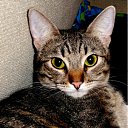 ���� �������, ������� - ��������� 24 �������� 2011 � ������ ���� �������