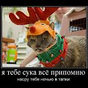 ���� Desperado, ������, 45 ��� - ��������� 10 �������� 2010 � ������ �������