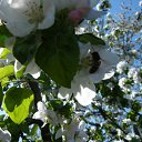 ���� Empire, ������-��-���� - ��������� 4 ��� 2010 � ������ ����