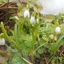 ���� Valerij, ������� - ��������� 22 ������ 2013 � ������ ������ ��������