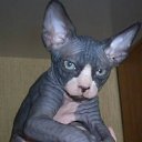 ���� ����, ���, 41 ��� - ��������� 16 ����� 2012