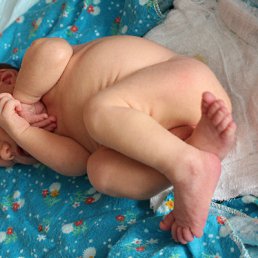 ���� �������, ������, 43 ���� - ��������� 5 ���� 2012