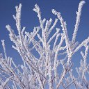  , , 54  -  21  2010   λ